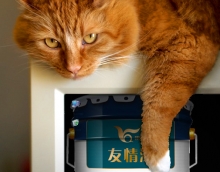 友情木器漆部分產(chǎn)品介紹 友情木器漆部分產(chǎn)品介紹